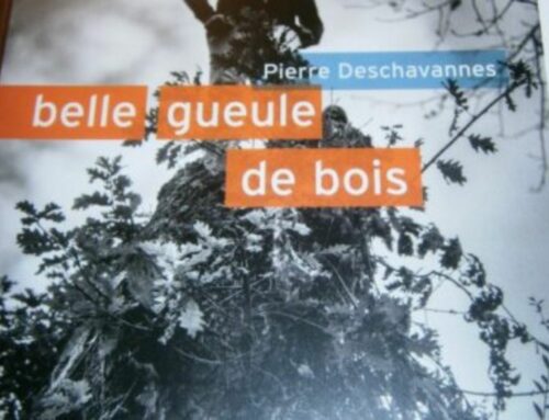"Belle gueule de bois" de Pierre Deschavannes – Chronique de Maïté