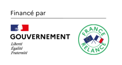 Logo chèque numérique France relance